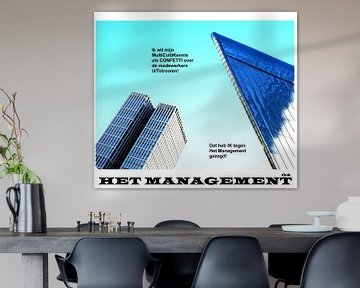 Het Management - MultiCulti Kennis Uitstrooien