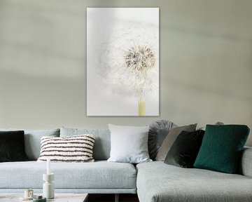 Het lijnenspel van een Paardenbloem in lichte pastel kleuren van Marjolijn van den Berg