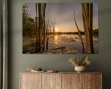 Zonsondergang op de Linge bij Gellicum in de Betuwe van Martien Janssen