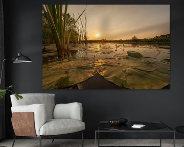 Zonsondergang op de Linge bij Gellicum in de Betuwe van Martien Janssen