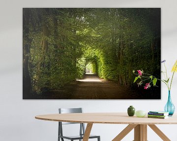 Tunnel routier entouré d'arbres sur Martien Janssen