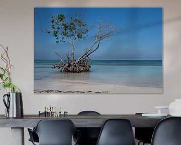 Mangrove langs de kust. van Joes van Asten