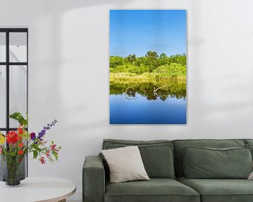 Prerowstrom in the Baltic seaside resort of Prerow on Fischland-Darß by Rico Ködder