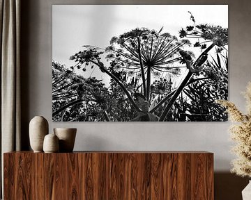 Giants from the Grass by Artforyou  werk van Henk Adriani