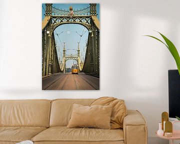 Pont de la Liberté Budapest (Szabadsag hid)