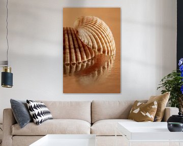 Warme kleuren: Lijnen van de schelpen met reflectie van Marjolijn van den Berg