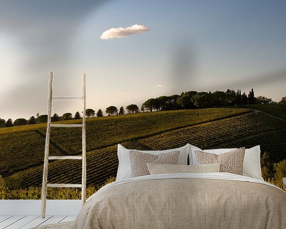 Aperçu de la chambre