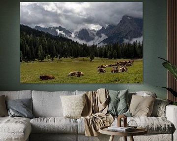 Koeien in de Alpen von Wim Slootweg