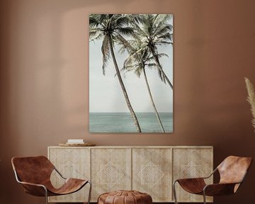 Ocean Breeze Palms sur Shot by Clint