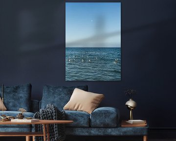 Oiseaux de mer au clair de lune