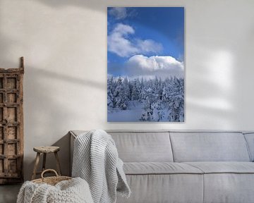 A snowy forest after the storm by Claude Laprise