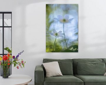 Lentedromen van Moetwil en van Dijk - Fotografie