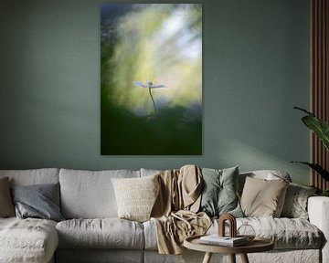 Spotlight! van Moetwil en van Dijk - Fotografie