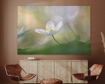 Magical Spring van Moetwil en van Dijk - Fotografie