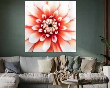 Liefde voor dahlia's 1 van Cindy Mulder