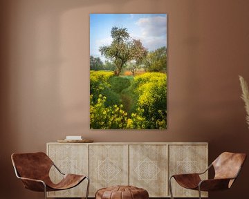 Lentedroom van Moetwil en van Dijk - Fotografie