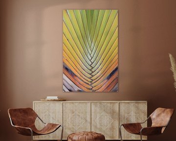 Regenbogen in der Palme von Margot van den Berg