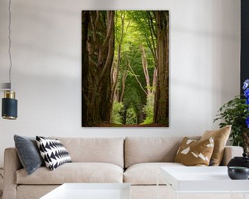 Forêt enchantée sur Willemijn Wolthaus
