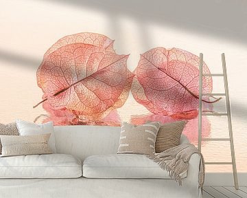 Summer of colour: Bougainvillea leaves together in pastel pink-orange shades by Marjolijn van den Berg