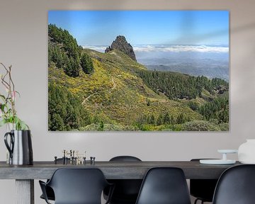 Mirador Caldera los Marteles Gran Canaria von Michael Valjak