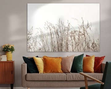 Tranquil Grasslands by Monika Strigel