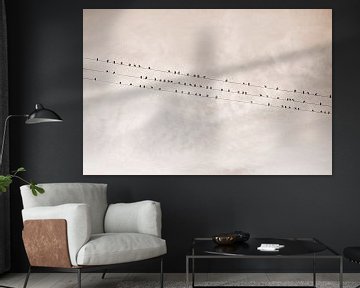 Vogels op een draad Beige van Monika Strigel