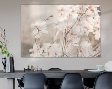 Magnolia's Licht van Monika Strigel