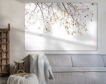 Under the Tree Birch by Monika Strigel