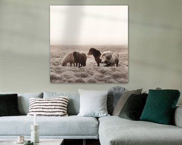 Island Wildpferde Creme von Monika Strigel