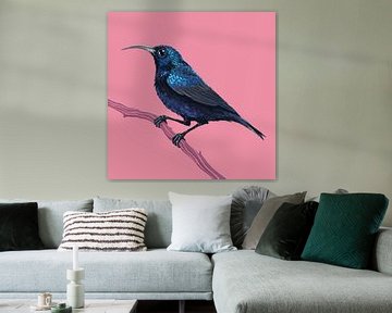 Vogelserie Sunbird van Rohan Dahotre
