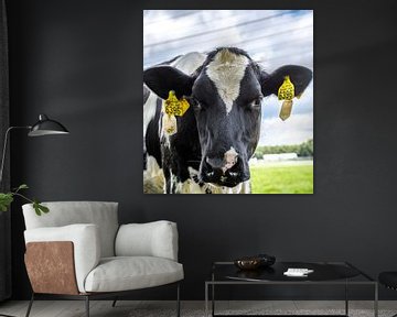Koeien van Quick Fotografie