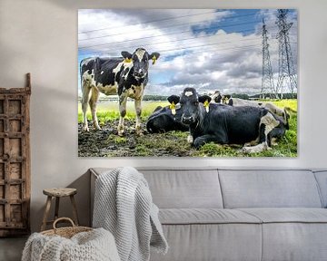 Koeien van Quick Fotografie