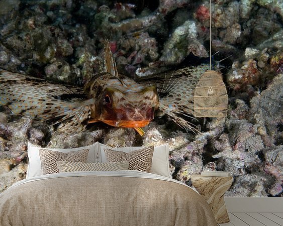 Aperçu de la chambre