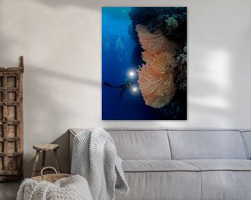 Gorgonienkoralle und ein Unterwasserfotograf von Ilan Ben Tov