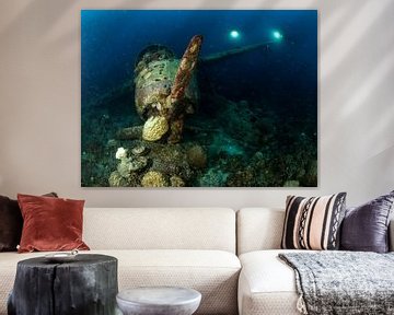 Jake Sea Plane by Ilan Ben Tov