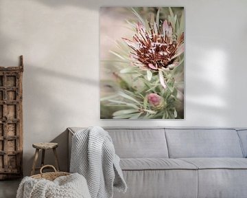 Soft Bloom Elegance sur Shot by Clint