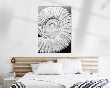Ancient Spiral Dreams by Shot by Clint