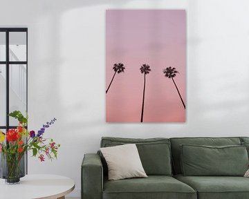Trio de ciel rose sur Shot by Clint