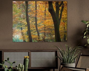 Herfstkleuren van Niels Eric Fotografie