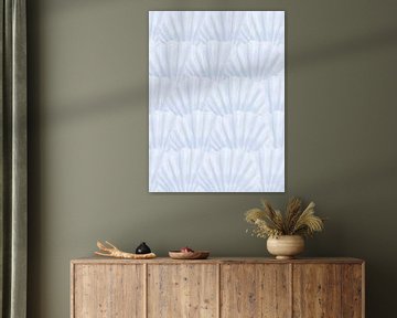Seashells by Jolly and Dash