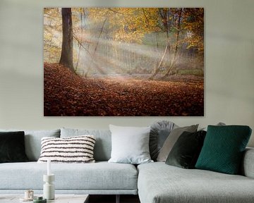 Sonnenstrahlen im nebligen Herbstwald von Martin Bredewold