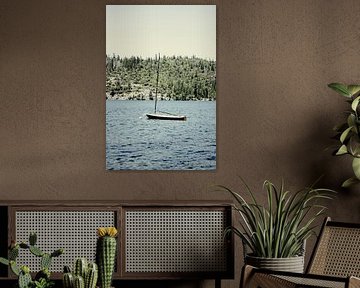 Boot auf Pinecrest