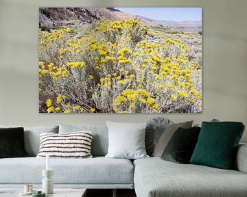 Golden Flowers by Gemma Bardot