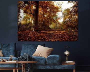 De belles couleurs d'automne sur le Vughtse Heide (Photo connue de TV !) sur Fotografie Jeronimo