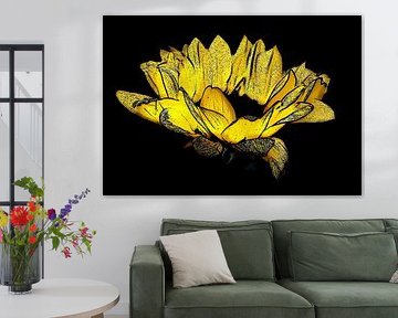 Sunflower. by Jose Lok