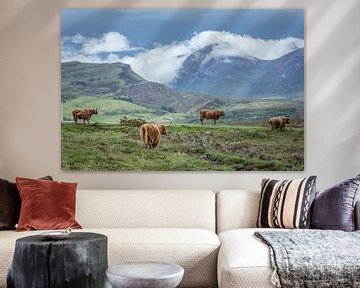 Schotse Hooglanders bij Elgol, Isle of Skye van Christian Müringer