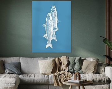 Pescados van Elizabeth C