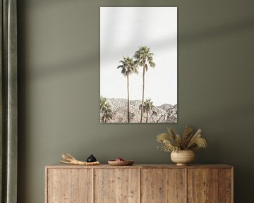 Palm Springs Palms by Kathrin Pienaar