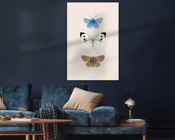 Papillons anglais 2 sur Kathrin Pienaar