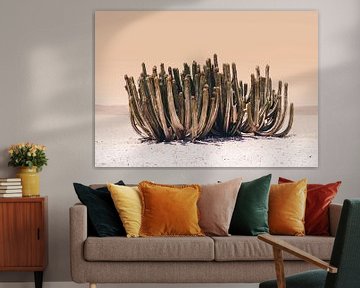 Cactus perzikhemel van Kathrin Pienaar